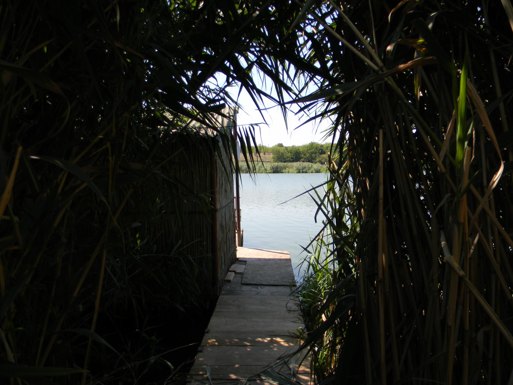 Debut mania 3-6 sep 2012 - dscn7308.JPG